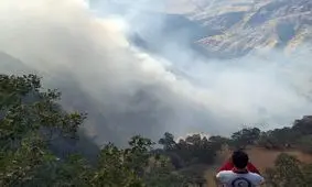 جدال آتش و جنگل در اندیکا به روز نهم رسید