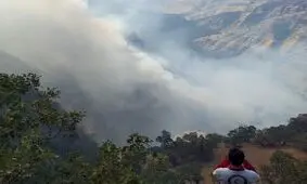 جدال آتش و جنگل در اندیکا به روز نهم رسید