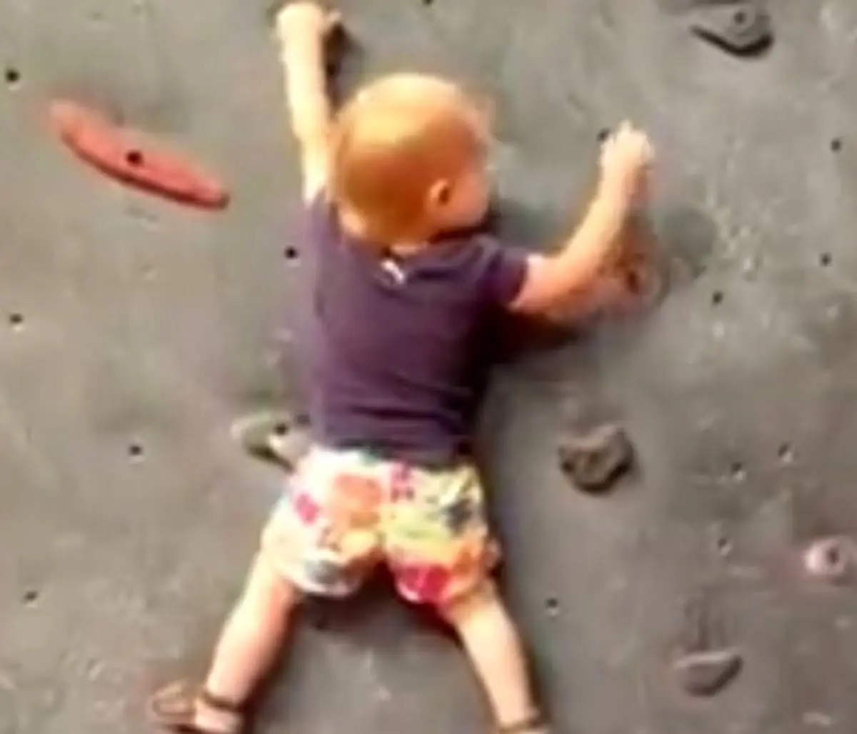 فیلم/ پسر یک و نیم ساله که از دیوار راست بالا می رود!