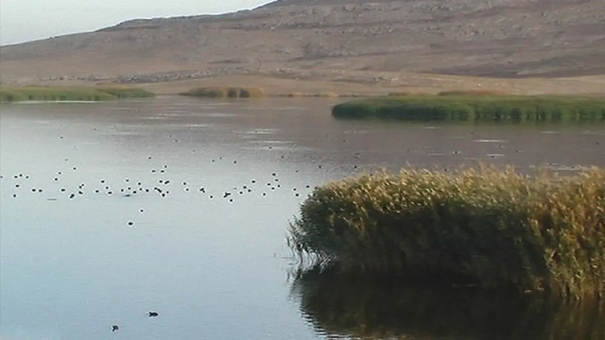 زاینده رود، رودخانه دائمی که در فصل تابستان خشک می‌شود
