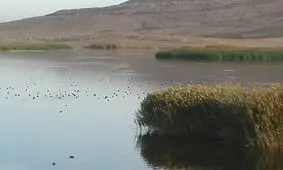 زاینده رود، رودخانه دائمی که در فصل تابستان خشک می‌شود