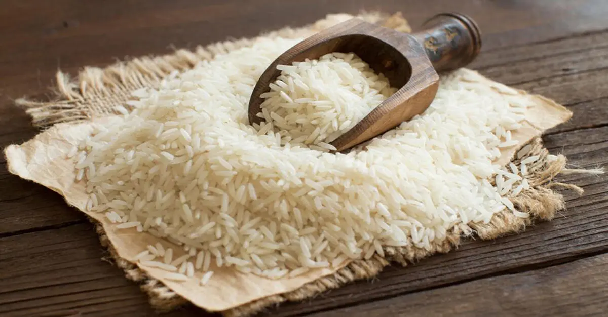 واردات برنج ممنوع شد