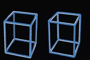 خطای دید: این مکعب‌ها برای شما هم حرکت می‌کنند؟