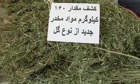 مجازاتی برای ماده مخدر گل پیش‌بینی نشده