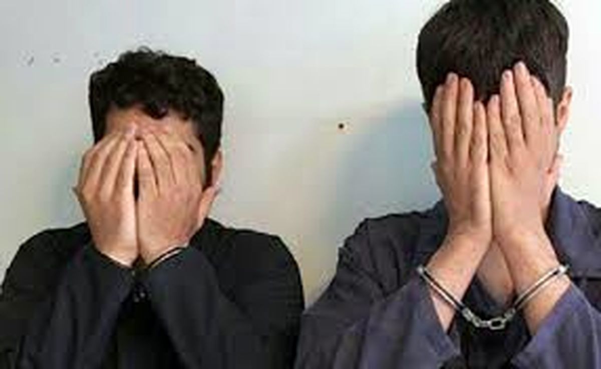 گنج میلیاردی در باغچه خانه مالباختهِ تهرانی