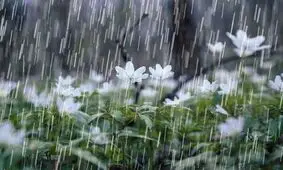 هشدار هواشناسی نسبت به افزایش بارش های تابستانه سیستان وبلوچستان