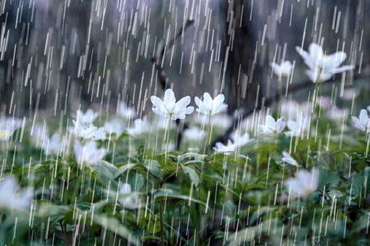 هشدار هواشناسی نسبت به افزایش بارش های تابستانه سیستان وبلوچستان