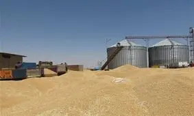 افزایش ۴۰۰ هزار تنی ظرفیت سیلوهای استان کرمانشاه