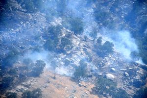نامه سمنهای خوزستان به رییس جمهوری در پی آتش سوزی ۱۰ روزه در جنگلهای بلوط