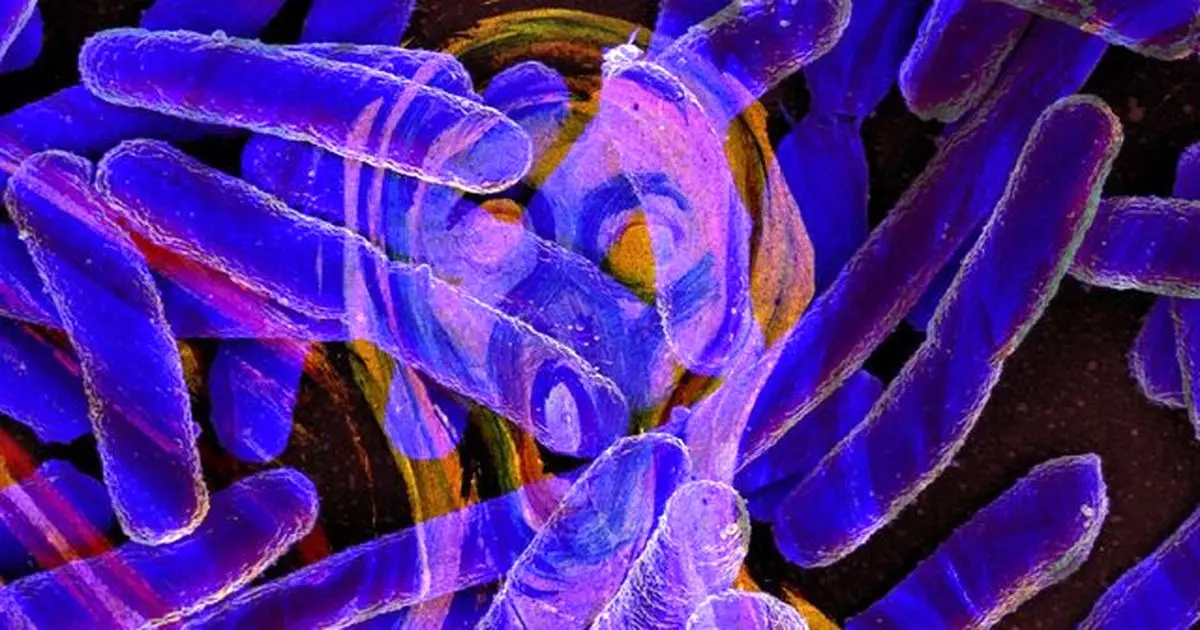 باکتری‌هایی که برای نجات جامعه خود "جیغ" می‌کشند!