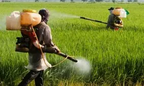 فروش سموم کشاورزی درهرمزگان الکترونیکی شد