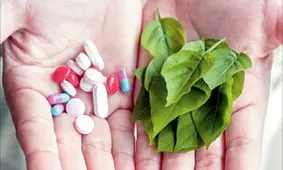 تولید یک داروی گیاهی برای ترک اعتیاد