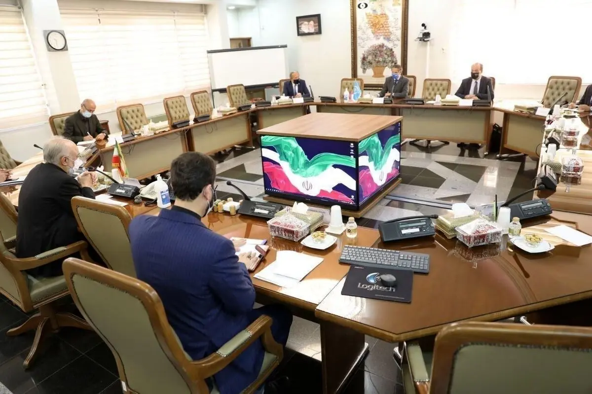 مدیر کل آژانس بین المللی انرژی اتمی با صالحی دیدار کرد