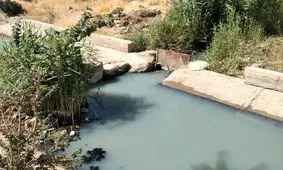 آبیاری زمین‌های کشاورزی ابهر با فاضلاب ؛ نتیجه اجرای طرح‌های بدون مطالعه/ نبود اعتبار و فرهنگ کشاورزی دو عامل دیگر