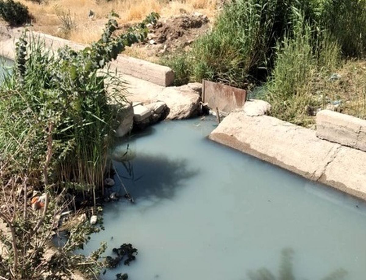 آبیاری زمین‌های کشاورزی ابهر با فاضلاب ؛ نتیجه اجرای طرح‌های بدون مطالعه/ نبود اعتبار و فرهنگ کشاورزی دو عامل دیگر
