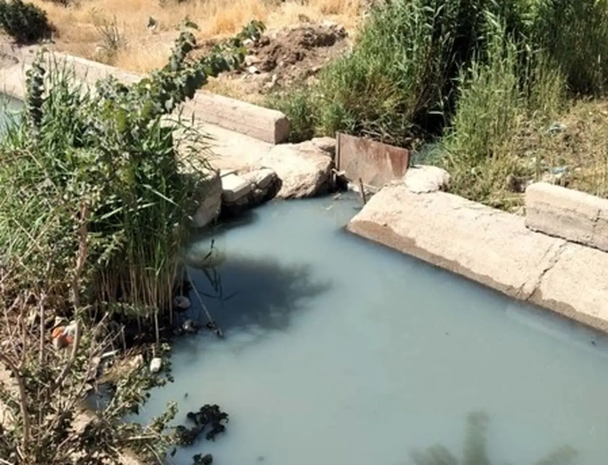 آبیاری زمین‌های کشاورزی ابهر با فاضلاب ؛ نتیجه اجرای طرح‌های بدون مطالعه/ نبود اعتبار و فرهنگ کشاورزی دو عامل دیگر