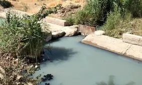 آبیاری زمین‌های کشاورزی ابهر با فاضلاب ؛ نتیجه اجرای طرح‌های بدون مطالعه/ نبود اعتبار و فرهنگ کشاورزی دو عامل دیگر