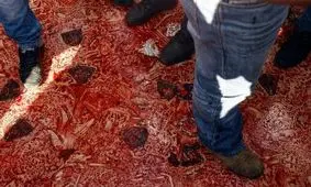 قمه‌زنی در خیابان‌های انگلستان! / ویدئو حاوی صحنه‌های دلخراش