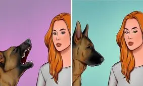 در مواجهه با سگ‌های ولگرد چطور جان خود را حفظ کنیم؟