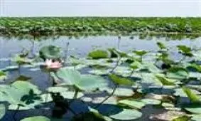 قانون حفاظت، احیاء و مدیریت تالاب‌های کشور ابلاغ شد