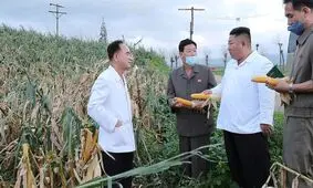 انتشار تصاویر عجیب کیم جونگ اون بعد از شایعه مرگش/ رهبر کره شمالی در حال بلال زدن!/ عکس