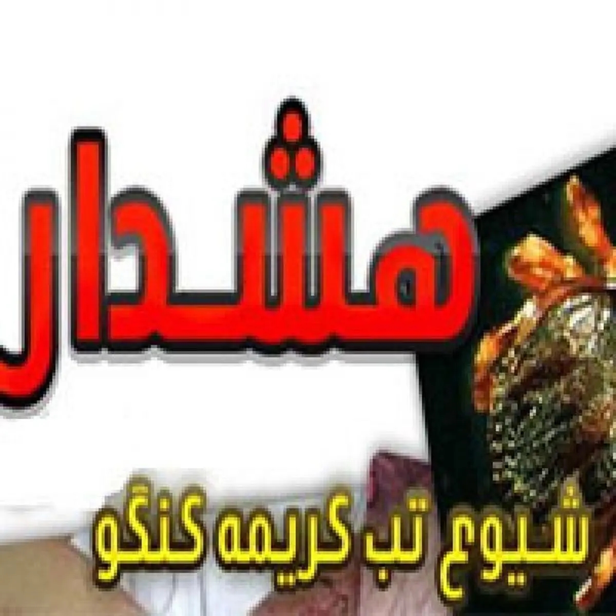 از تب کنگو چه می دانید؟+ راه های پیشگیری