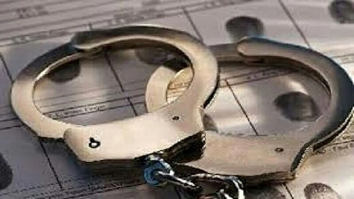 هوو‌های سارق به دام افتادند