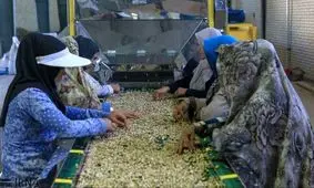 هشت روستای گناوه برای اجرای طرح سحاب بنیاد برکت انتخاب شدند