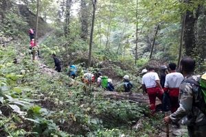 نجات ۶ گردشگر گمشده در جنگل بندرگز / پایان خوش ۲۰ ساعت سرگردانی در جنگل
