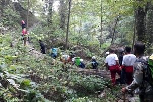 نجات ۶ گردشگر گمشده در جنگل بندرگز / پایان خوش ۲۰ ساعت سرگردانی در جنگل