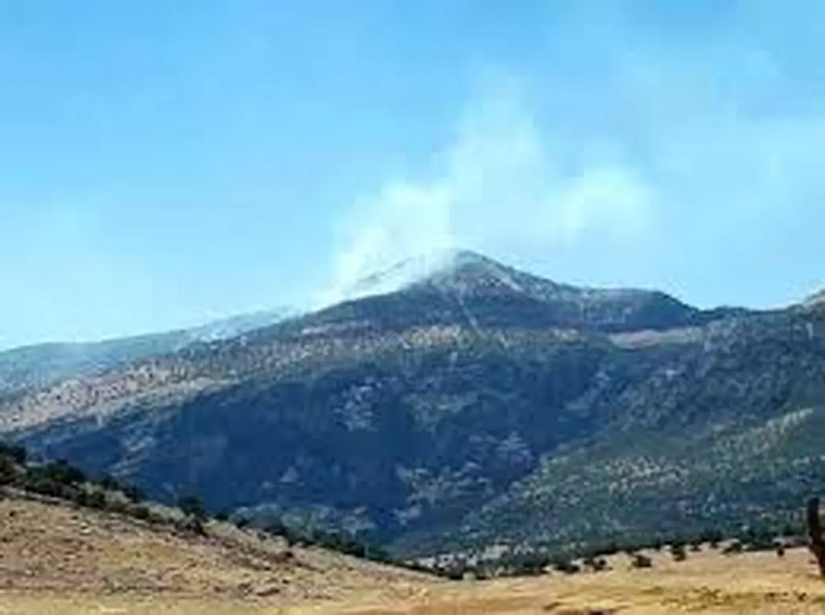 آتش‌سوزی در کوه دلای اندیکا