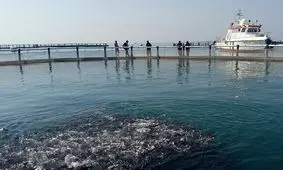 ۶۰ میلیارد ریال به اسکله خورخان بردخون بوشهر تخصیص یافت