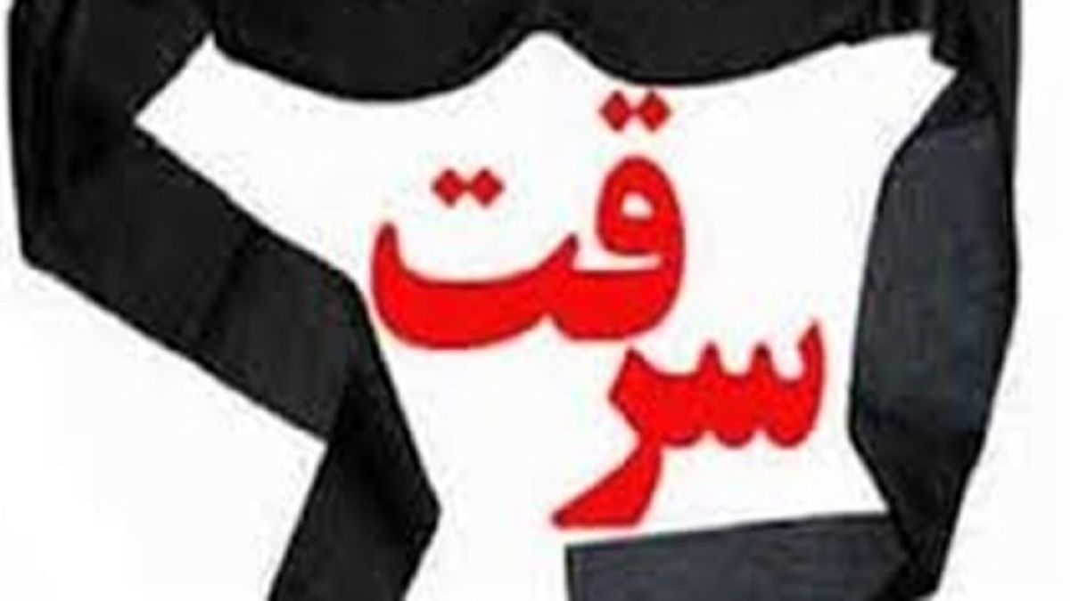 دستگیری سارق سابقه دار تلفن همراه در محله نواب