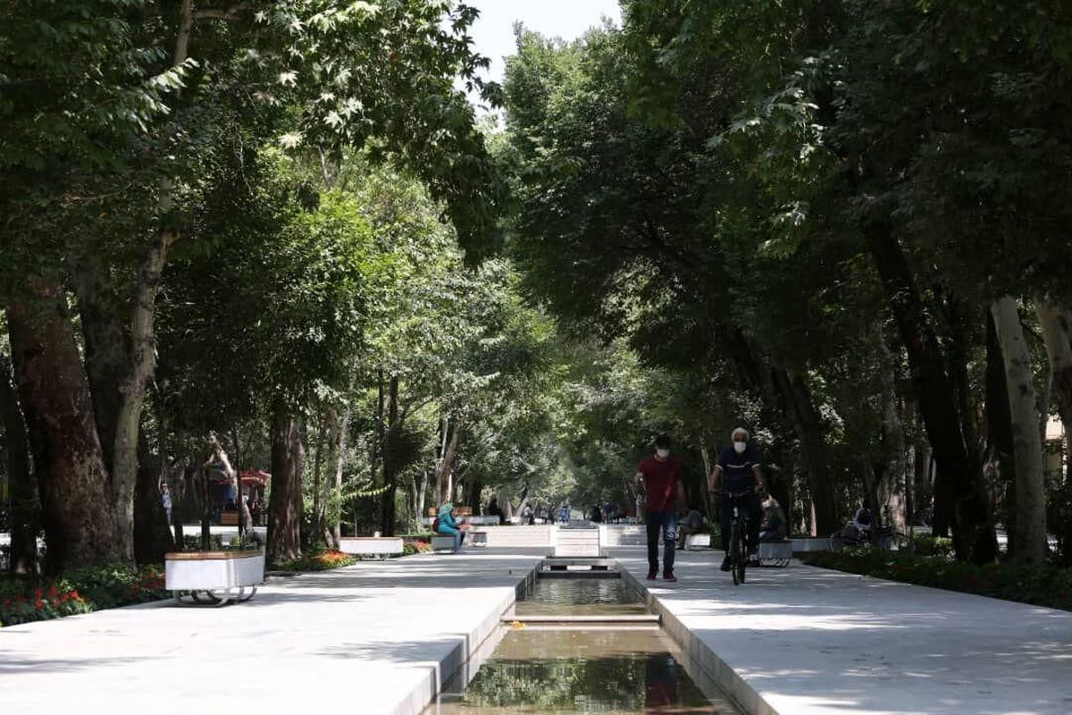 خداحافظی با نیمکتهای خاطرهساز چهارباغ اصفهان