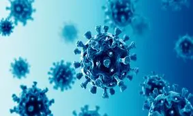 هر بیمار تب‌دار بداند به کرونا مبتلا شده است/ آدامس جویدن موجب تأخیر در ابتلا به بیماری می‌شود