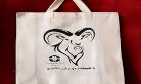 تولید کیسه‌های مهربان با طبیعت در بجنورد/تصاویر