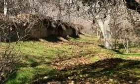 برای کسب درآمد در شهرداری، باغات شهر را ویران نکردیم/ سنگ‌بنای کمیسیون فرهنگی شورا از همان ابتدا، اشتباه گذاشته شد/پایان پروژه خیابان غذا شیراز تا پایان شهریورماه