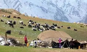 حتی یک نفر از عشایر به خاطر کرونا فوت نکرد