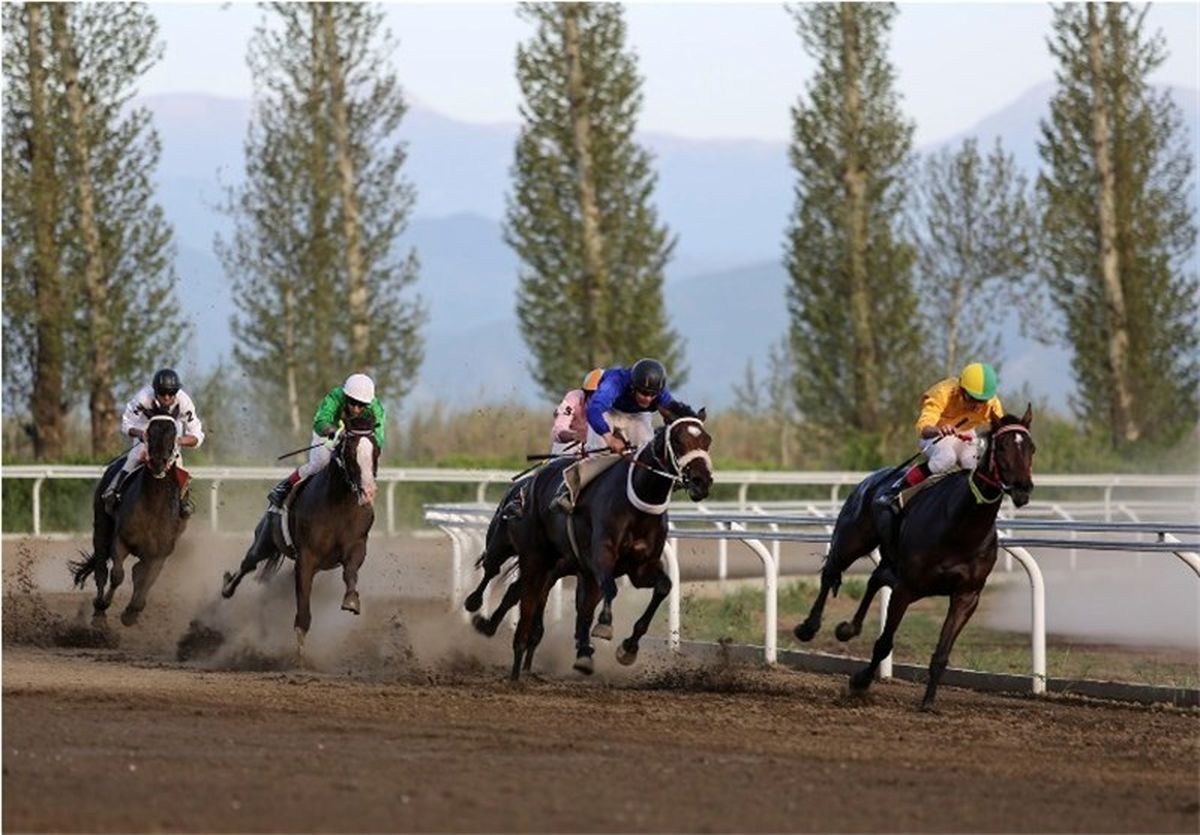 بازگشت اسب‌های ترکمن به خط مسابقه