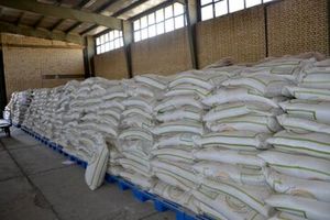 ذخیره سازی۱۷ هزار تن برنج در انبارهای بندر شهید رجایی