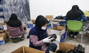 طرح توانمندسازی زنان سرپرست خانوار در استان فارس اجرا می‌شود