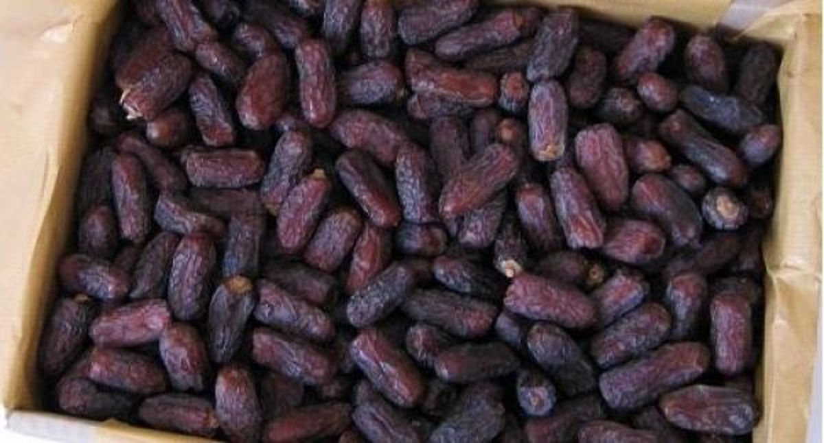 خرما به 20 هزار تومان رسید