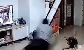 واکنش سریع پدر، جان کودک را نجات داد / ویدئو