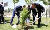 یادگاری ویلموتس برای ما چقدر آب خورد؟!