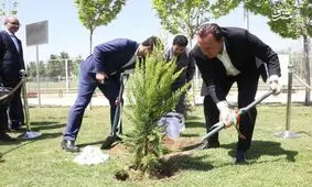 یادگاری ویلموتس برای ما چقدر آب خورد؟!