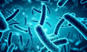 کشف نوعی باکتری که با آلاینده‌های سرطان‌زا مقابله می‌کند