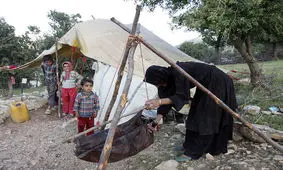 ۳۰۰ میلیارد ریال تسهیلات به عشایر چهارمحال و بختیاری اختصاص یافت