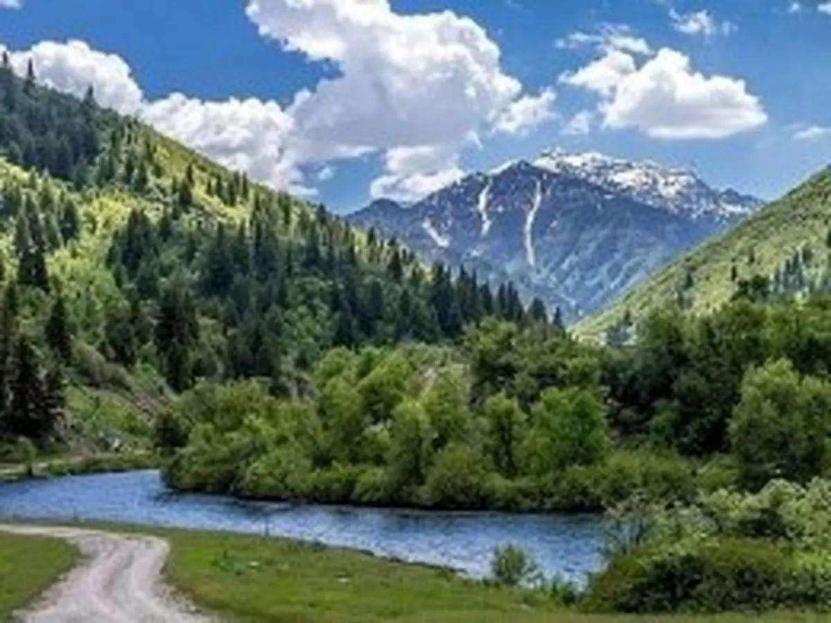 شوهرعصبانی زنش را به خاطر شام به رودخانه انداخت