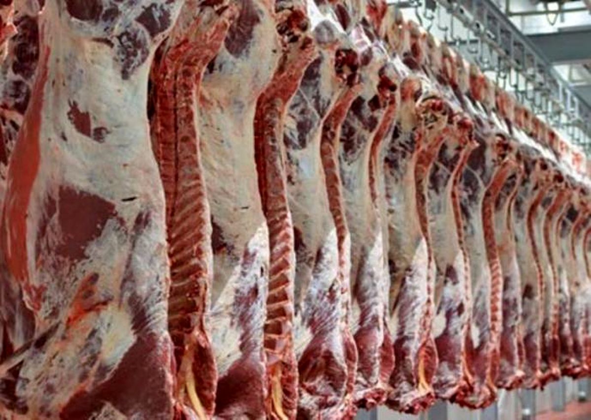 واردات گوشت قرمز به استان اصفهان ممنوع شد
