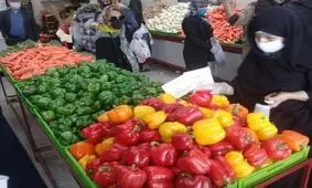 مشکل کمبود لیموترش و زنجبیل در پاییز امسال نداریم